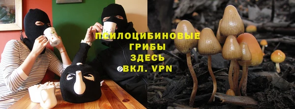 скорость Арсеньев