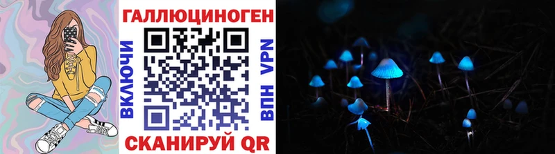 Купить закладки  Ахтубинск  Галлюциногенные грибы Cubensis 